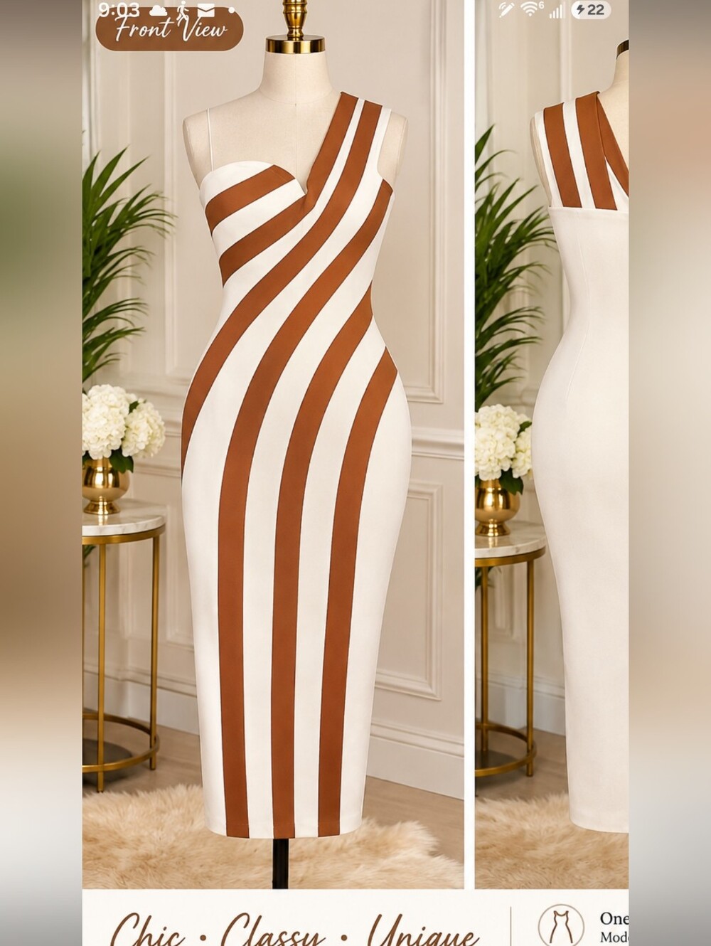 Fitted White and Brown Striped Stunning Dress